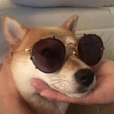 BartonGF (bartongf.lens) Lens social identity (.lens handle) PFP