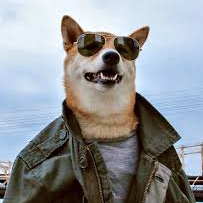 Egorog (egorkin.lens) Lens social identity (.lens handle) PFP