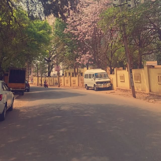 EcoMind Alchemy (widdit.lens) Lens social identity (.lens handle) PFP