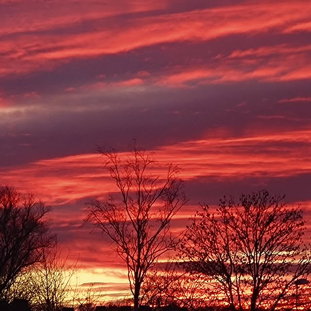 Sanskriti Scholar (cityspark.lens) Lens social identity (.lens handle) PFP