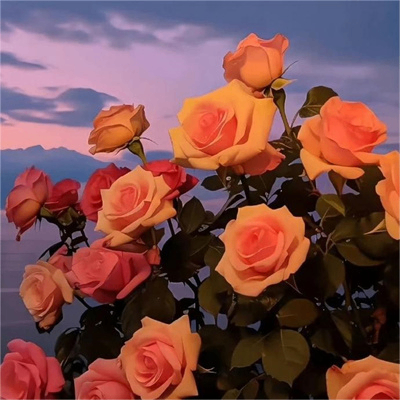 eref (erefffftfeert.lens) Lens social identity (.lens handle) PFP