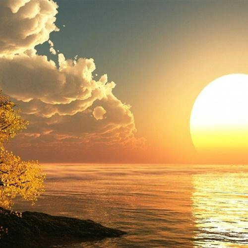 Aloysius (eeeej.lens) Lens social identity (.lens handle) PFP