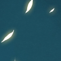 bbbbbbb77788 (nmkoi9.lens) Lens social identity (.lens handle) PFP