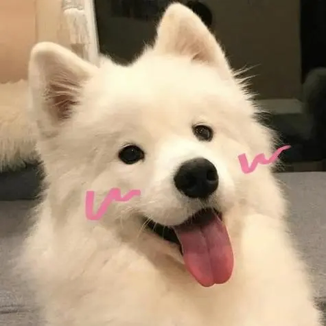 Sobremesa (kwysq.lens) Lens social identity (.lens handle) PFP