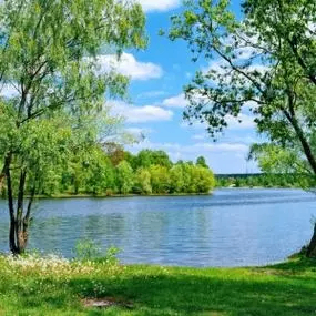 booka (booka.lens) Lens social identity (.lens handle) PFP