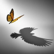 Pepe (notisbok.lens) Lens social identity (.lens handle) PFP