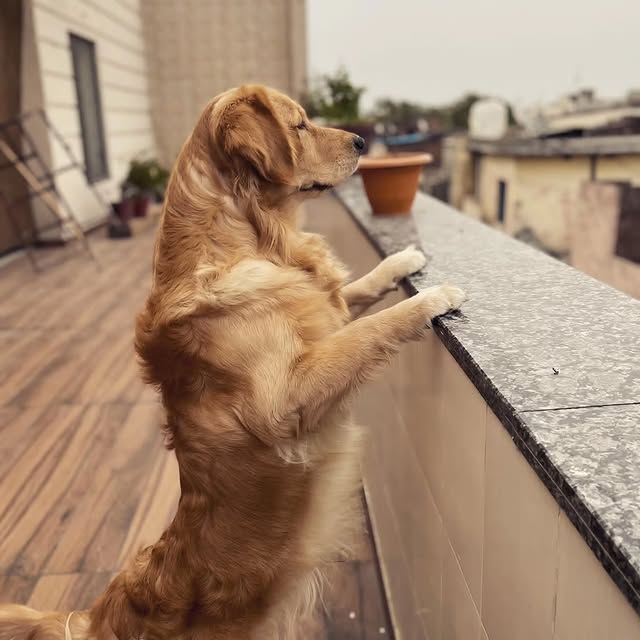 ActivePlay Haven (grantland.lens) Lens social identity (.lens handle) PFP