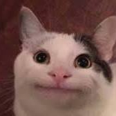 bdtech (bdtech.lens) Lens social identity (.lens handle) PFP