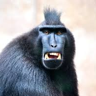 Don Hunter (don51.lens) Lens social identity (.lens handle) PFP