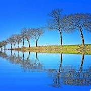 rose (ouqywhesjo.lens) Lens social identity (.lens handle) PFP