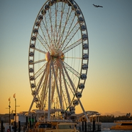 Bill (1230321.lens) Lens social identity (.lens handle) PFP