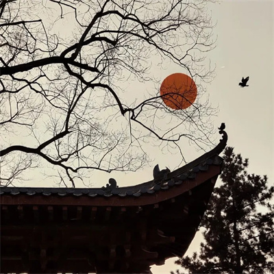 mixiu (aicai.lens) Lens social identity (.lens handle) PFP