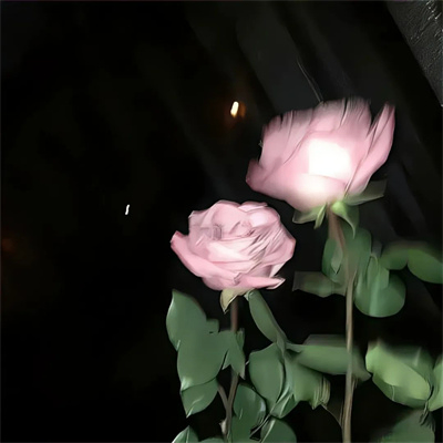 comicase (adaswang.lens) Lens social identity (.lens handle) PFP