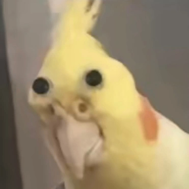 Gelng (jdjdi7.lens) Lens social identity (.lens handle) PFP