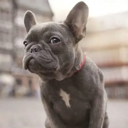 Healer (thsdadf.lens) Lens social identity (.lens handle) PFP