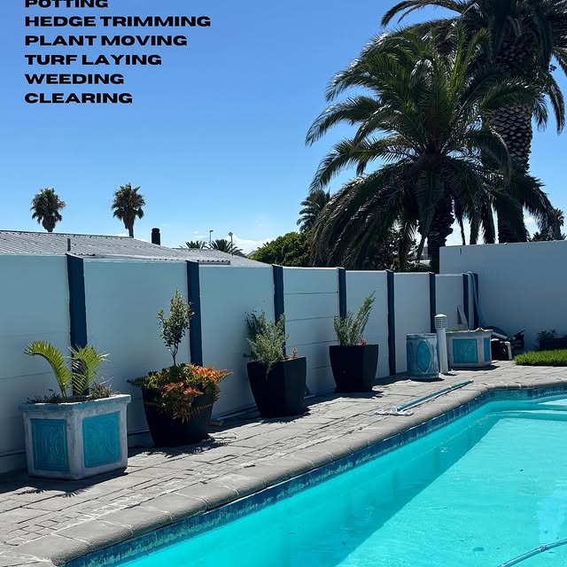 Fauna Care Haven (foxydeal.lens) Lens social identity (.lens handle) PFP