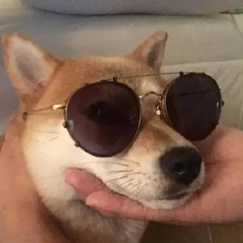 jerry (abrahamiu.lens) Lens social identity (.lens handle) PFP