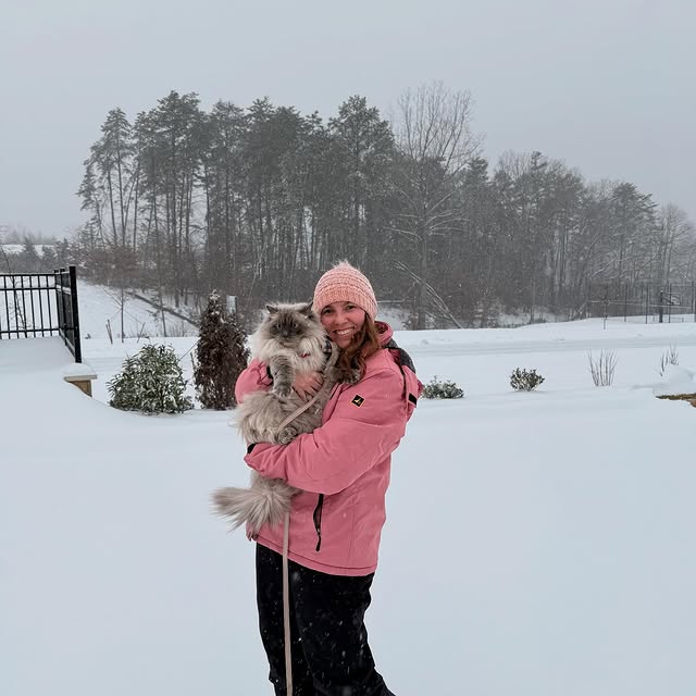 Linguistic Nuance Explorer (uproxxcdn.lens) Lens social identity (.lens handle) PFP