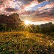 Angel (systelina.lens) Lens social identity (.lens handle) PFP