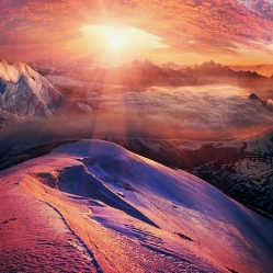 Moses Wilcox (yyyww.lens) Lens social identity (.lens handle) PFP