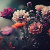 Jasmine (cryptoworker.lens) Lens social identity (.lens handle) PFP