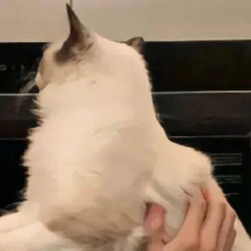 Clyde (nnnnnnq.lens) Lens social identity (.lens handle) PFP