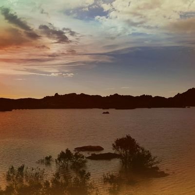 Saeed10644558 (83335.lens) Lens social identity (.lens handle) PFP