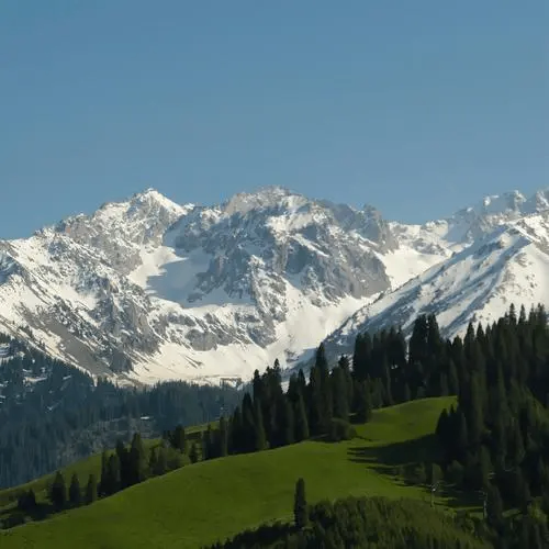 wahah (wahah.lens) Lens social identity (.lens handle) PFP