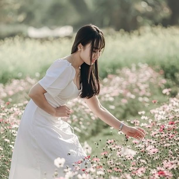 Thespian Haven 🎭 (porniq.lens) Lens social identity (.lens handle) PFP