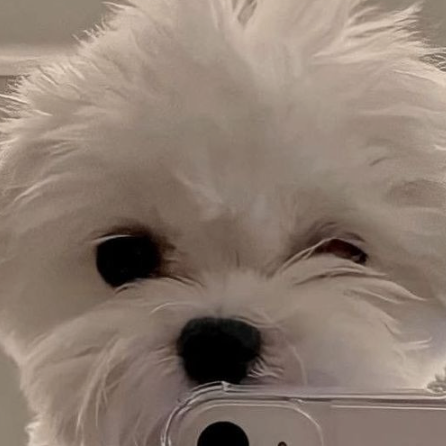 ArwenMileydis (arwenmileydis.lens) Lens social identity (.lens handle) PFP