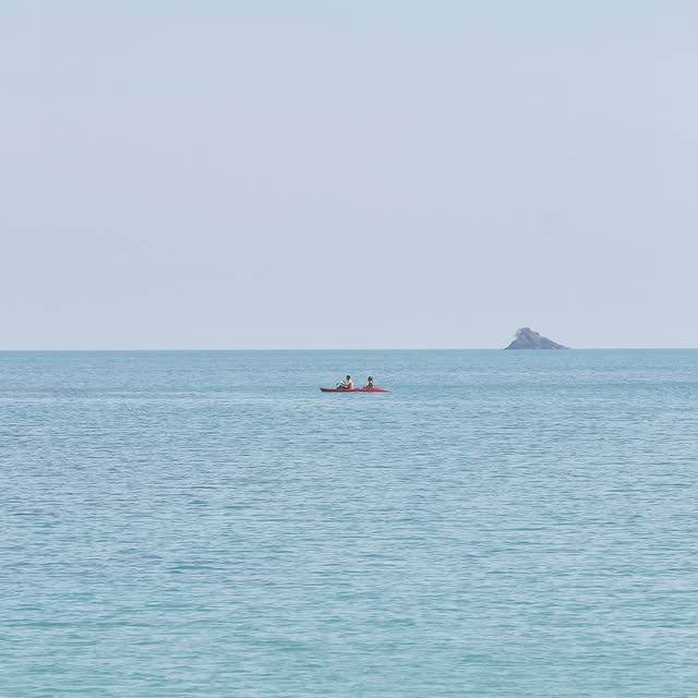 Econista Insights (dnsalias.lens) Lens social identity (.lens handle) PFP