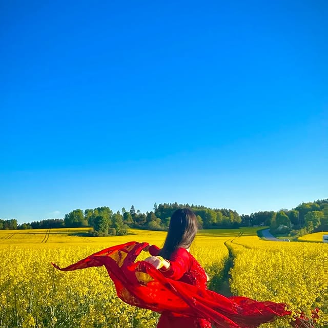 Timely Guard (jotform.lens) Lens social identity (.lens handle) PFP