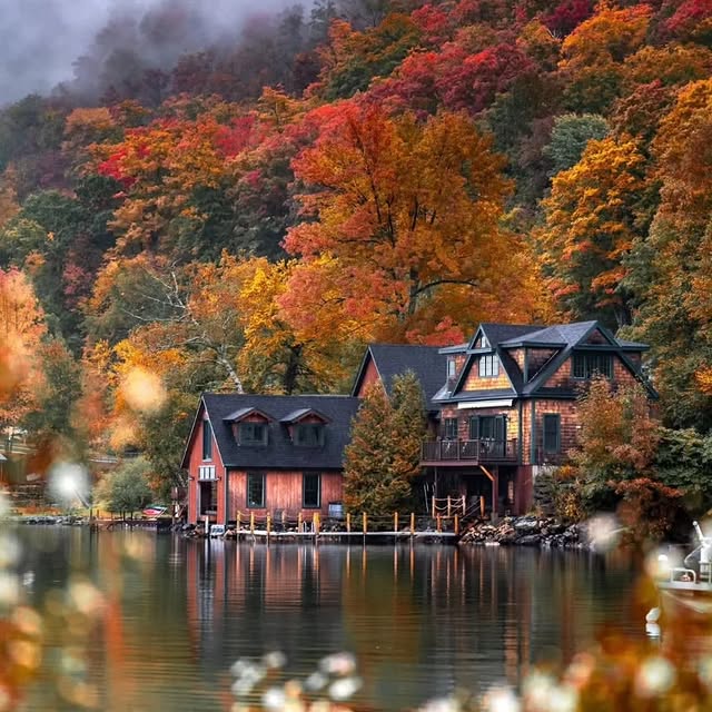 Echo Harmony (csnstores.lens) Lens social identity (.lens handle) PFP