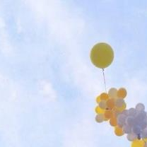 Prima Harold (xxccc.lens) Lens social identity (.lens handle) PFP