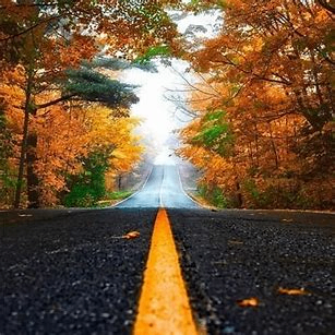 LBucud (lbucud.lens) Lens social identity (.lens handle) PFP