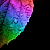 sund0.eth Ethereum Name Service (ENS and .eth domain) PFP