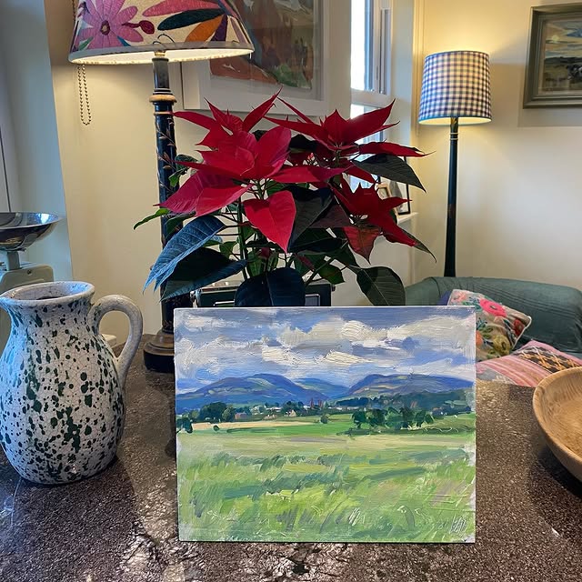 Phytocure Innovator (mediafire.lens) Lens social identity (.lens handle) PFP