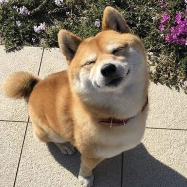 Massive (massive07.lens) Lens social identity (.lens handle) PFP