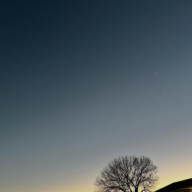 Dedalia Corelle (sanoma.lens) Lens social identity (.lens handle) PFP