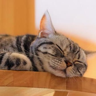 EJMhRayP9oID4HS (ejmhrayp9oid4hs.lens) Lens social identity (.lens handle) PFP