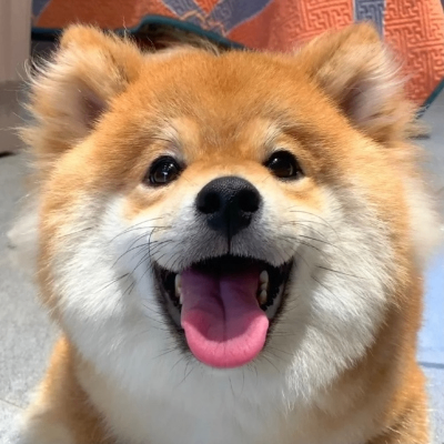 ecmama (ecnma.lens) Lens social identity (.lens handle) PFP