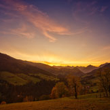 b2nny.eth Ethereum Name Service (ENS and .eth domain) PFP