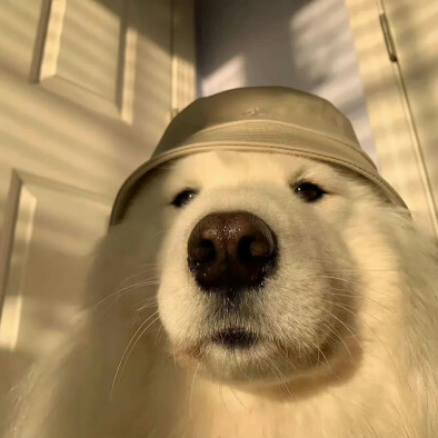 imagep (imagep.lens) Lens social identity (.lens handle) PFP