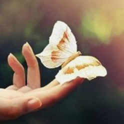 Rod Onions (loiii.lens) Lens social identity (.lens handle) PFP