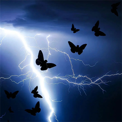 kally (gabiuya.lens) Lens social identity (.lens handle) PFP