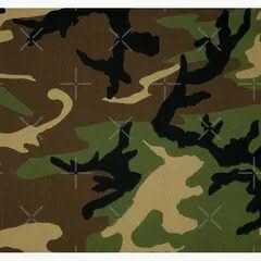 Elysian Insight (directv.lens) Lens social identity (.lens handle) PFP