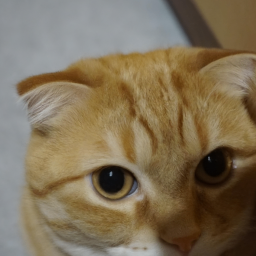 dosabe energético (doosan.lens) Lens social identity (.lens handle) PFP