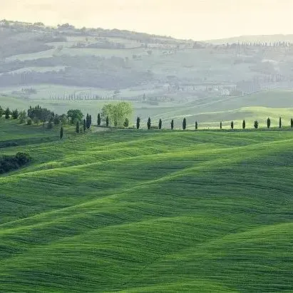 monsetre (monsetre.lens) Lens social identity (.lens handle) PFP