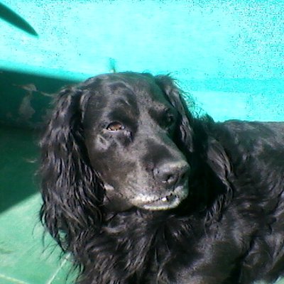 gemin60 (gemin60.lens) Lens social identity (.lens handle) PFP