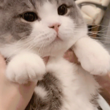 dta2639 (dta2639.lens) Lens social identity (.lens handle) PFP